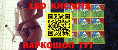 молекула духа Новозыбков