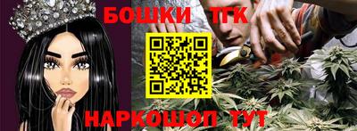 молекула духа Новозыбков