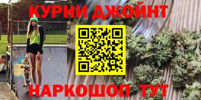 молекула духа Новозыбков