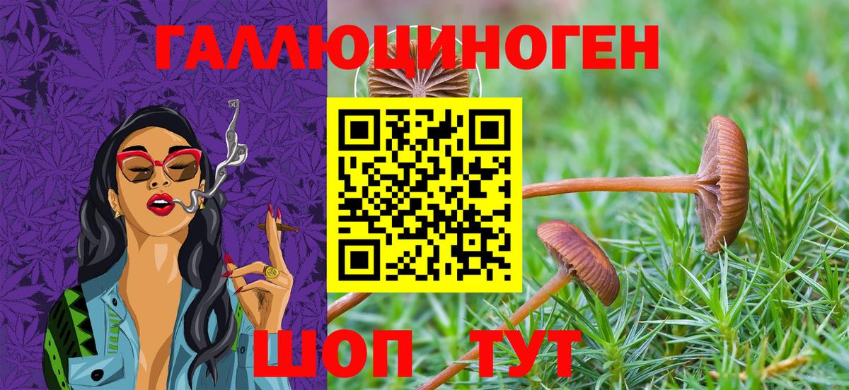 Псилоцибиновые грибы GOLDEN TEACHER Тавда