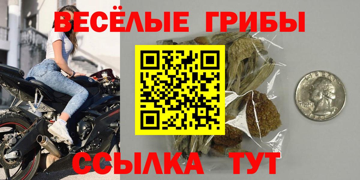 Галлюциногенные грибы мухоморы  Галлюциногенные грибы прущие грибы  Тавда  Вход с VPN 